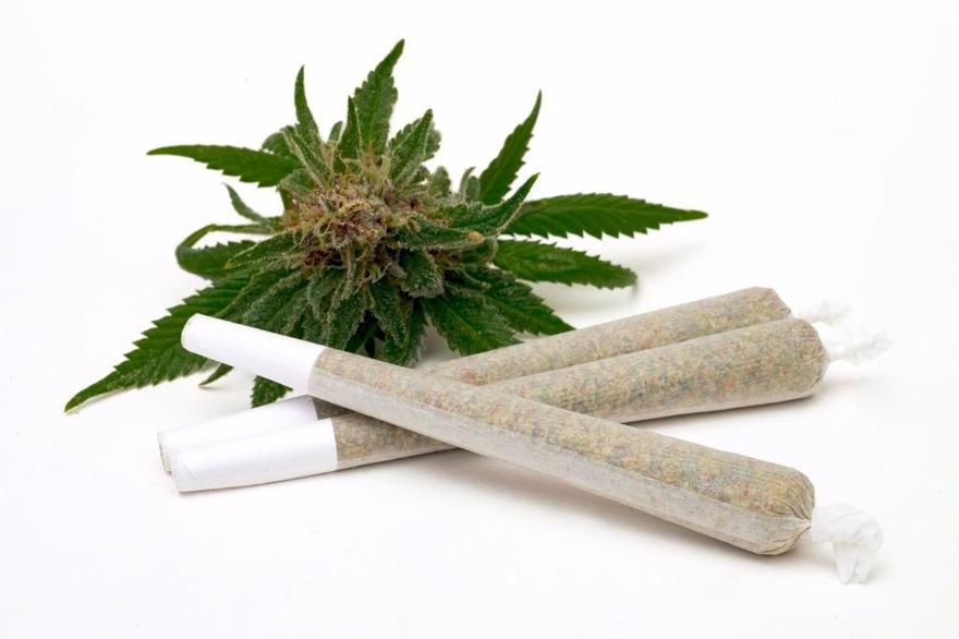 How to Use Pre-Rolled Hemp Cones?